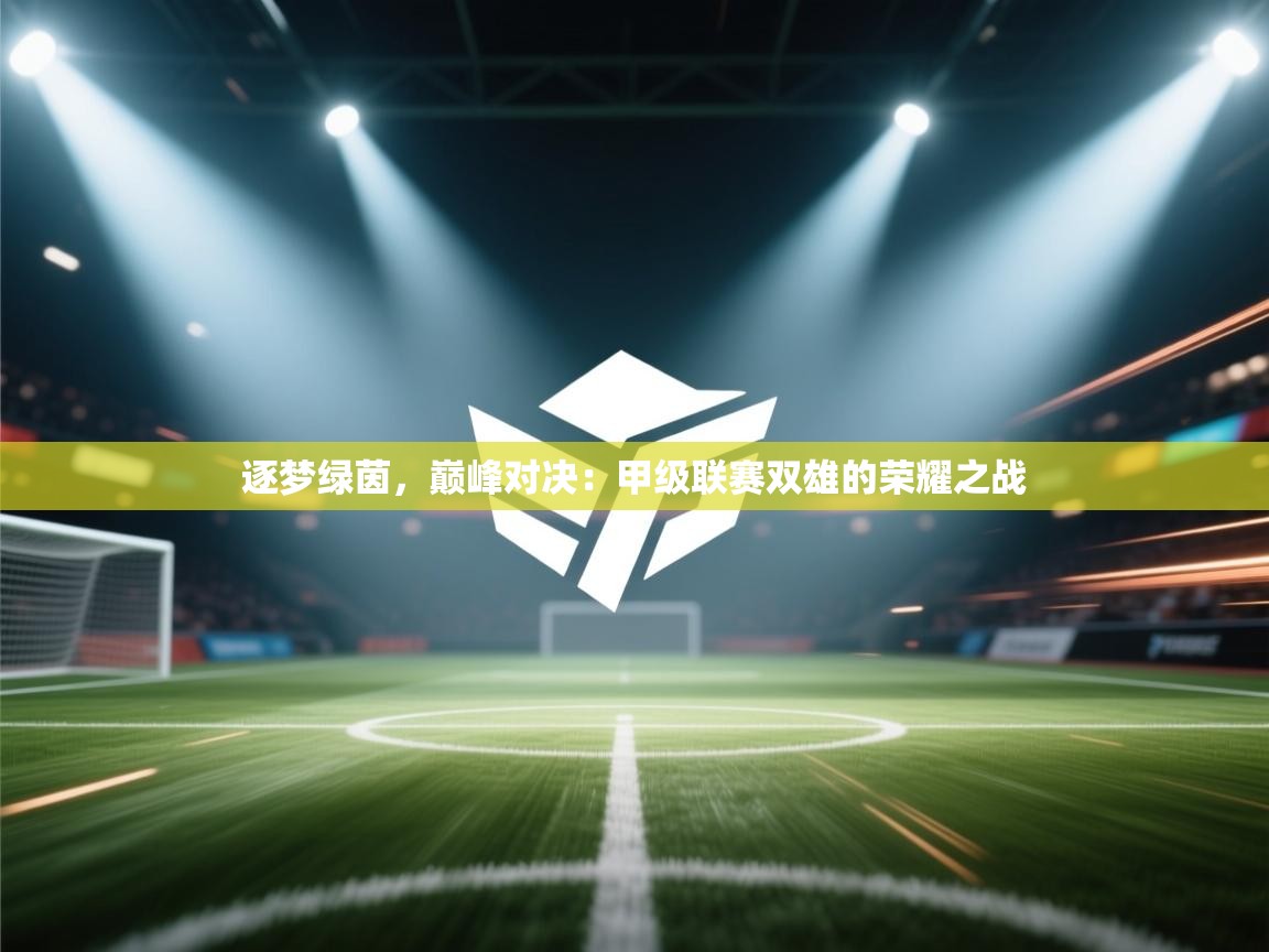 逐梦绿茵,巅峰对决:甲级联赛双雄的荣耀之战 第2张